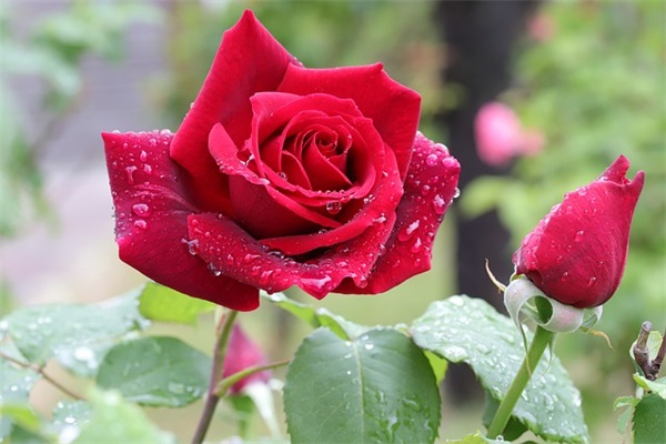 简洁的文案(句子优美简短的文案)