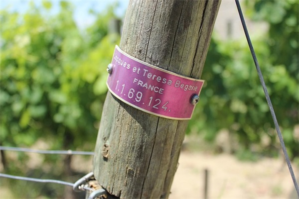 你可爱的爹情侣网名