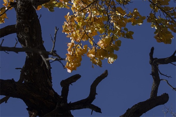 名字带对象名字的网名