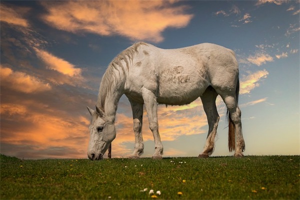 带爱簸的网名昵称