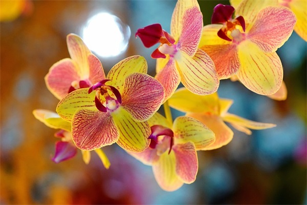 带新茹的个性网名