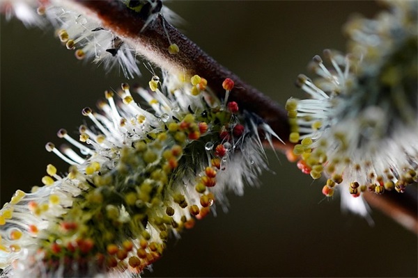 带耀兴的网名男生霸气