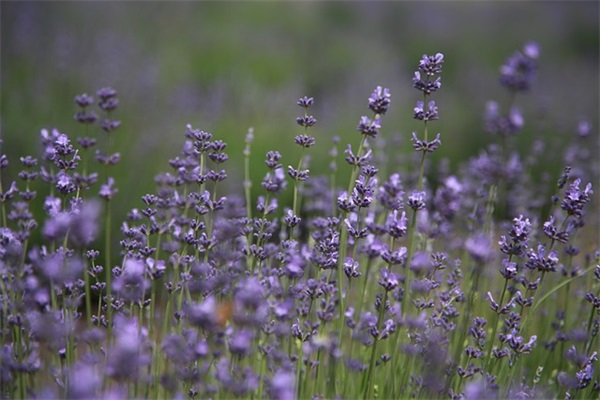 安慰生病人家属的话113句