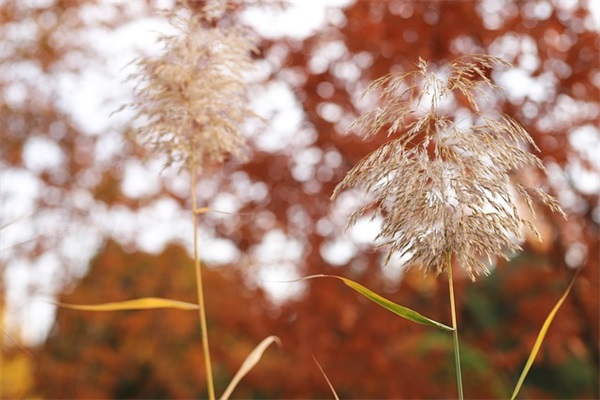 能逗女生笑的笑话100句