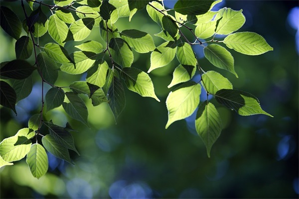 2025早安鼓励人的优美句子(调整心态激励人的句子)