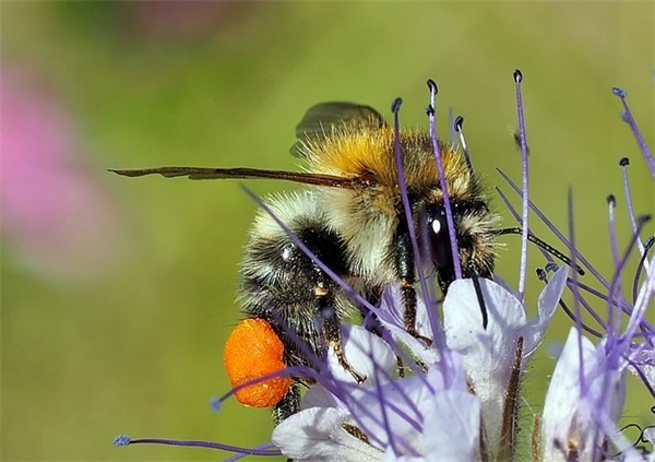 我会等你的句子80句
