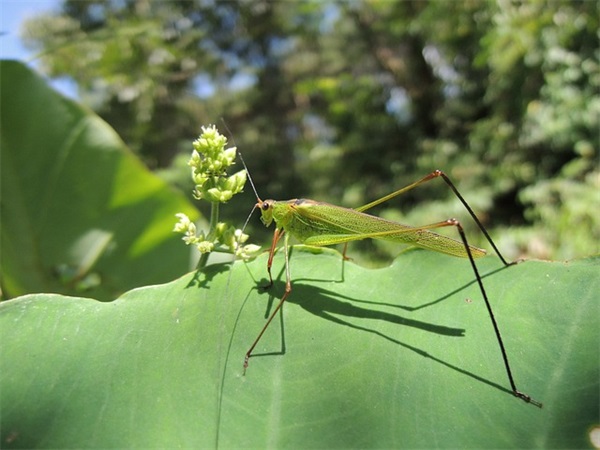 形容没钱的句子