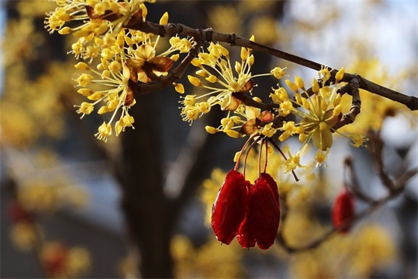 没完没了的伤感句子