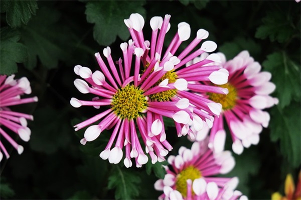 又拽又入心的句子 又拽又入心的句子伤感