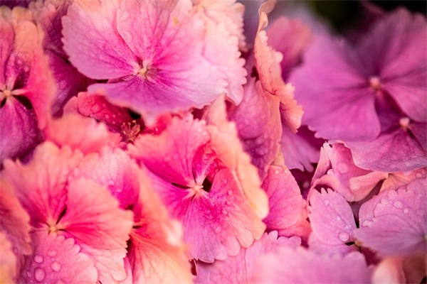 对流星雨许愿句子 流星雨的句子