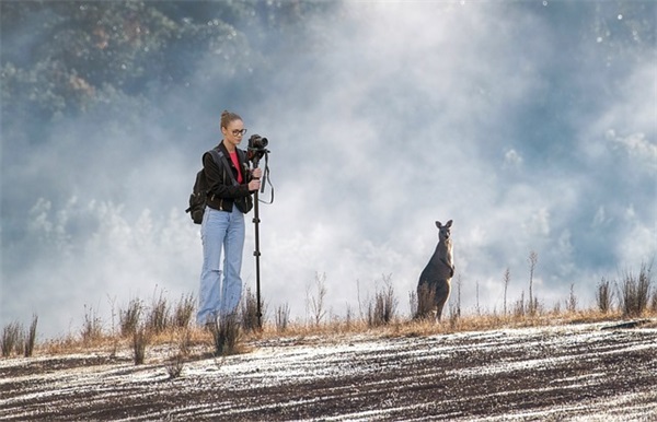 描写赞美老师的句子79句