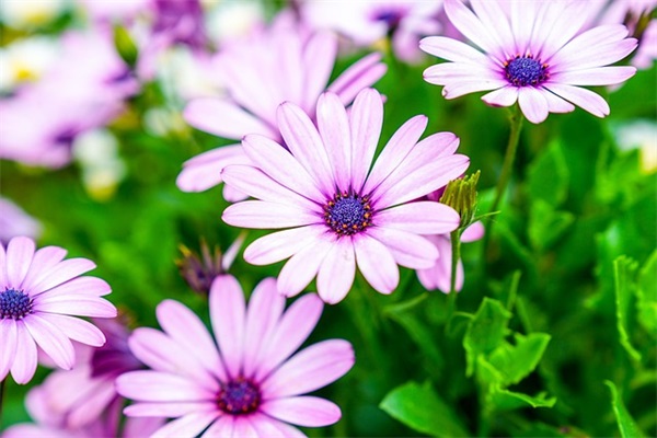 给自己的走心励志句子文案 励志长句子文案