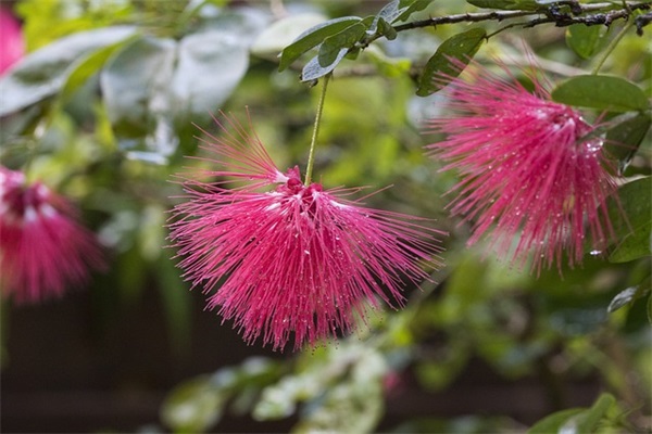 3月再见4月你好的励志句子大全(3月再见4月你好宝宝)