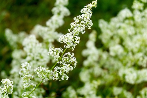 关于爱情的短句八字 关于坚守爱情的句子