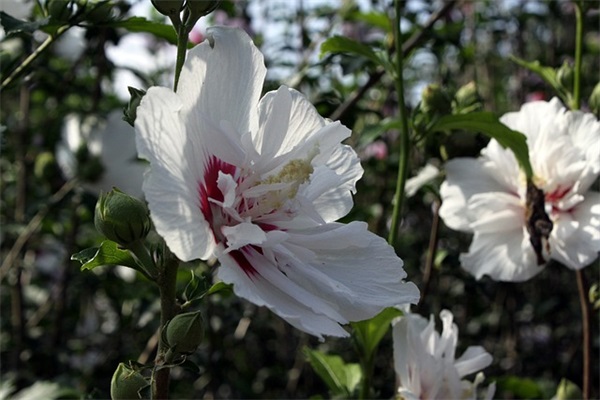 表达和朋友在一起开心的句子