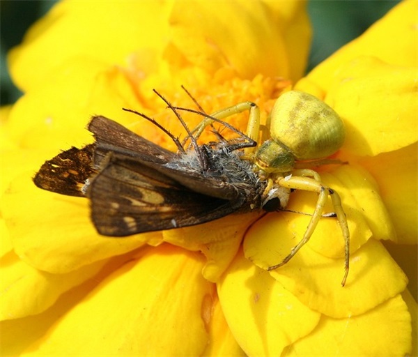 表达人间深情的句子 表达深情的句子