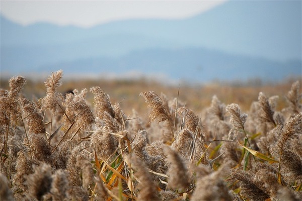 2025表白的励志句子