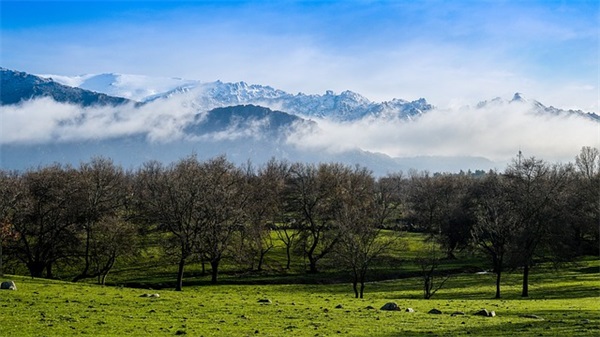 抖音超火的2025跨年句子大全