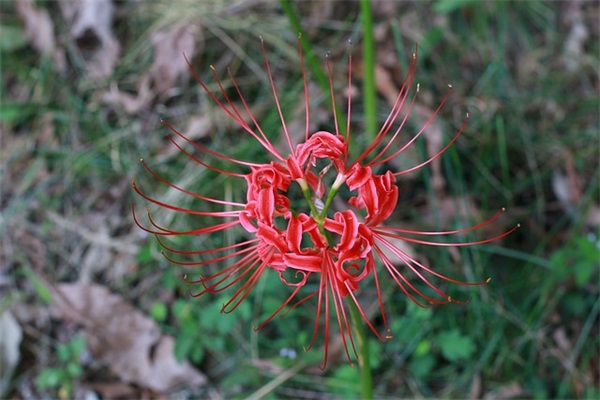 安慰男朋友累的暖心句子 安慰男朋友暖心的句子