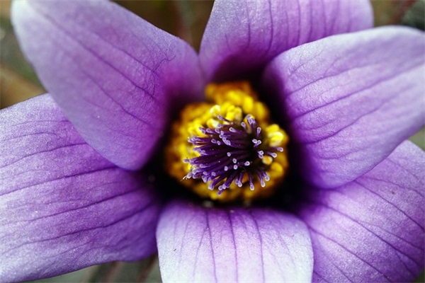 “阳了后”咳嗽咳到怀疑人生的句子