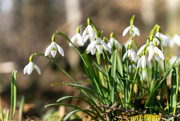 2025关于浪漫爱情的句子 2025爱情蜜语