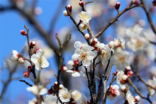 有诗意有寓意的微信名(精选580个)