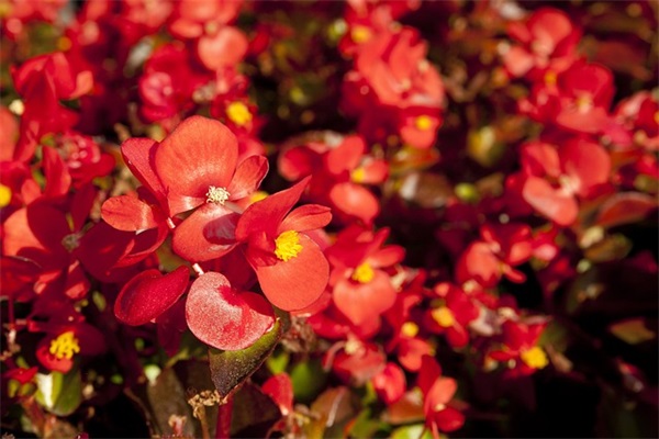 大气有涵养的网名微信昵称(优选561个)