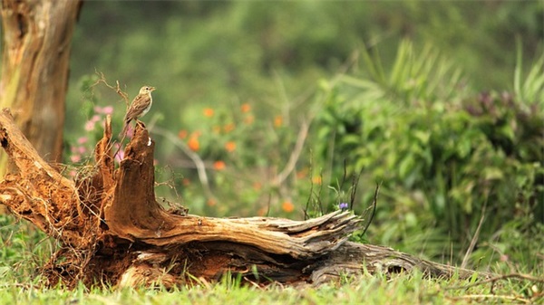 男生文艺微信网名(精选548个)