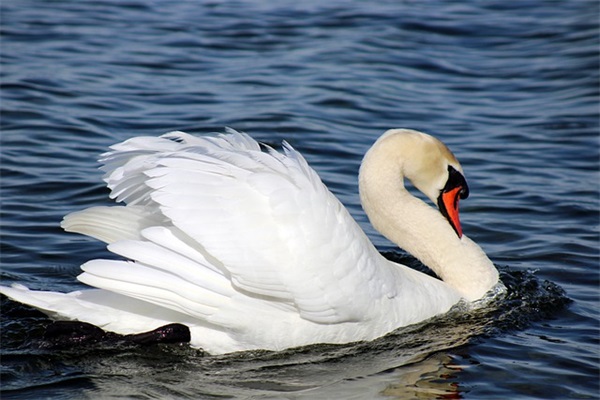 简单好听的女生微信网名(共556个)