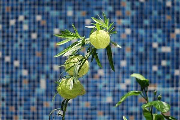 微信qq好听的长网名(精选335个)