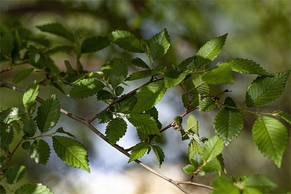 带少或杰的网名