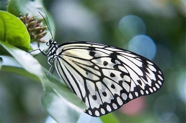 带神字古风的网名