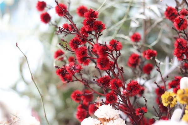 带水果的网名葡萄女孩名字