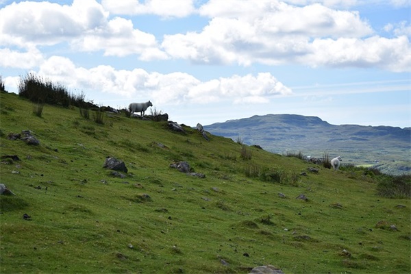霸气的三个字游戏名(精选407个)