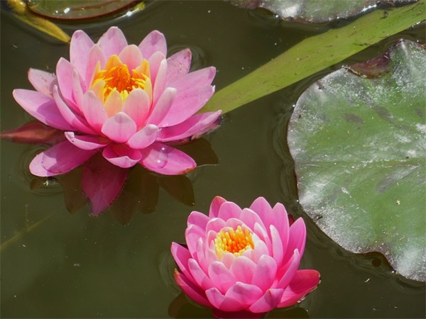 超优质又干净的微信昵称(优选368个)