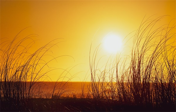 最好听的快手网名大全(355个)