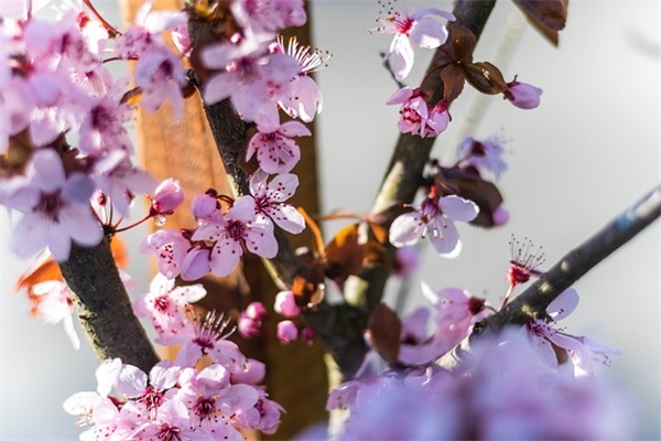 又污又有内涵的网名(优选320个)