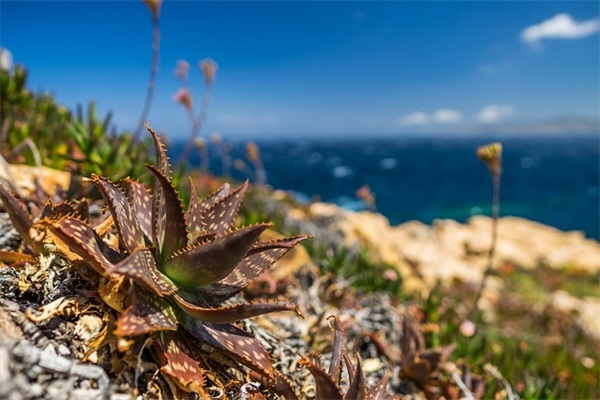 最火的微信网名大全2025最新版330个