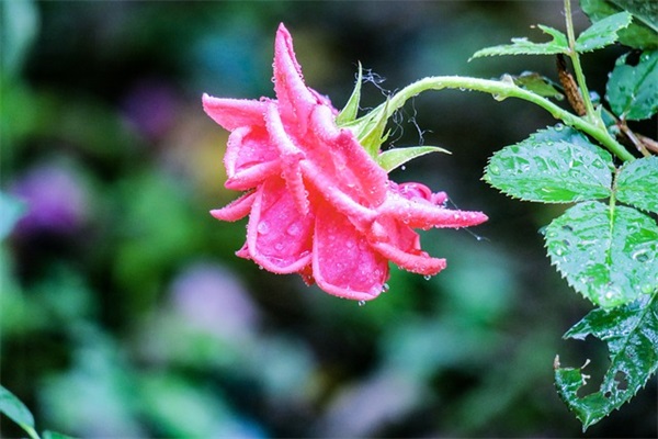 2025年优秀暑假句子