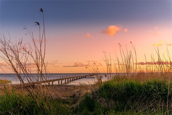 好优美的句子友情的81句