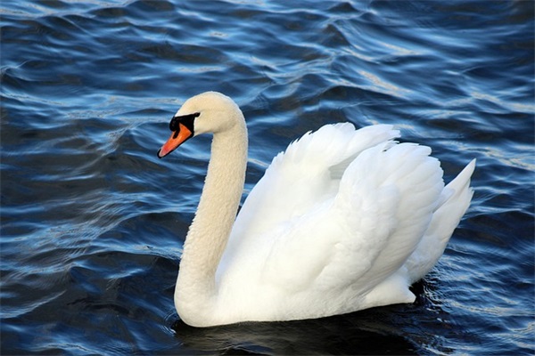 正能量文艺范简短句子 正能量文案短句