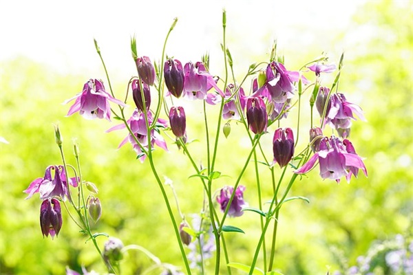 对人生感悟的句子积极50句