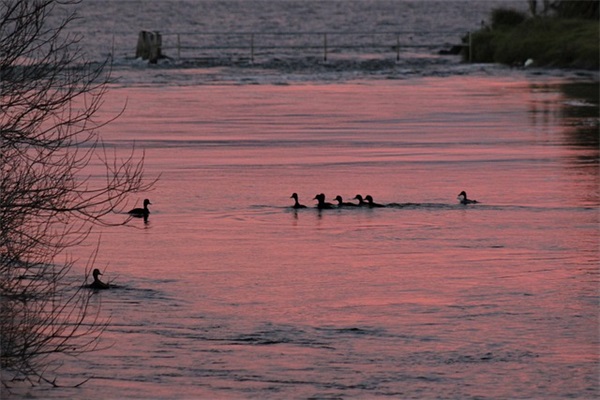 励志正能量句子 2025正能量励志话语句子
