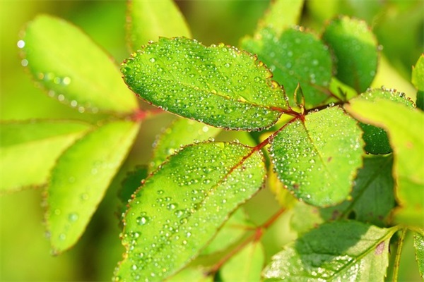 描写大海的英文句子