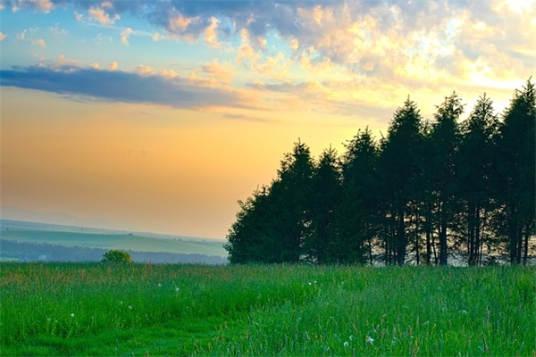 伤感歌曲表达伤感的句子大全(用烟表达伤感的句子)