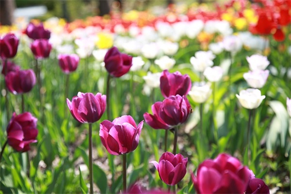 希望朋友开心的句子