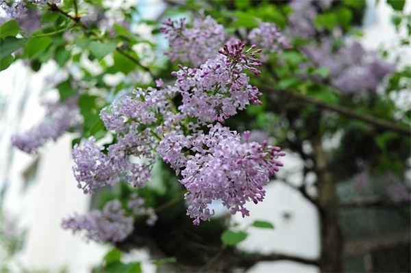 梦想励志的句子简洁