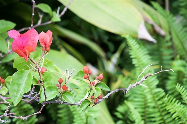 劝慰心情不好的句子