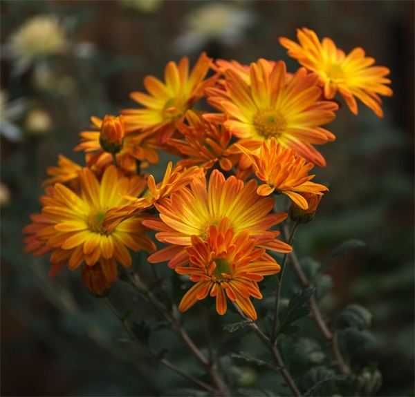 你不仁别怪我不义句子