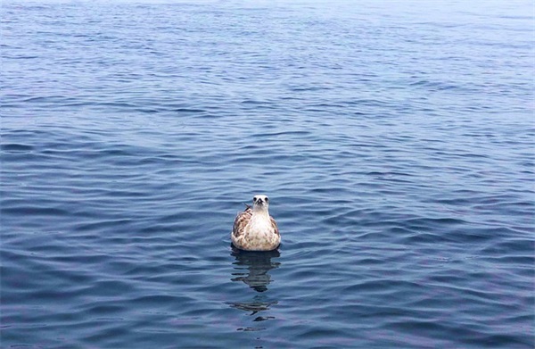 充满阳光的微博昵称(精选156个)